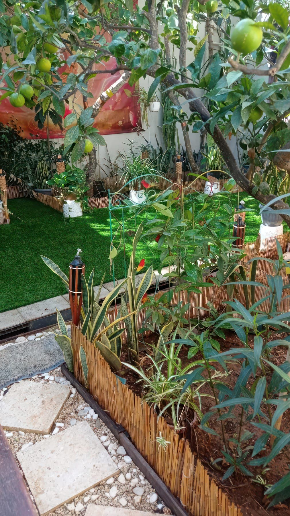 Stepping stones and bamboo borders leading into the green garden
